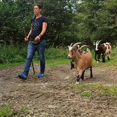 Σπίτι διακοπών Almhuette Auszeit Donnersbachwald