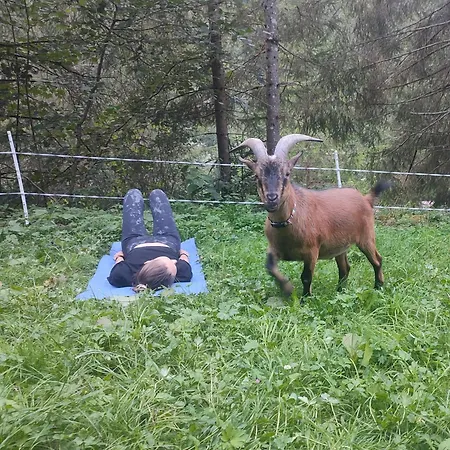 Almhuette Auszeit * 도너스바크워드