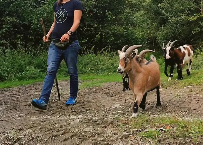 Semesterbostad Almhuette Auszeit Donnersbachwald