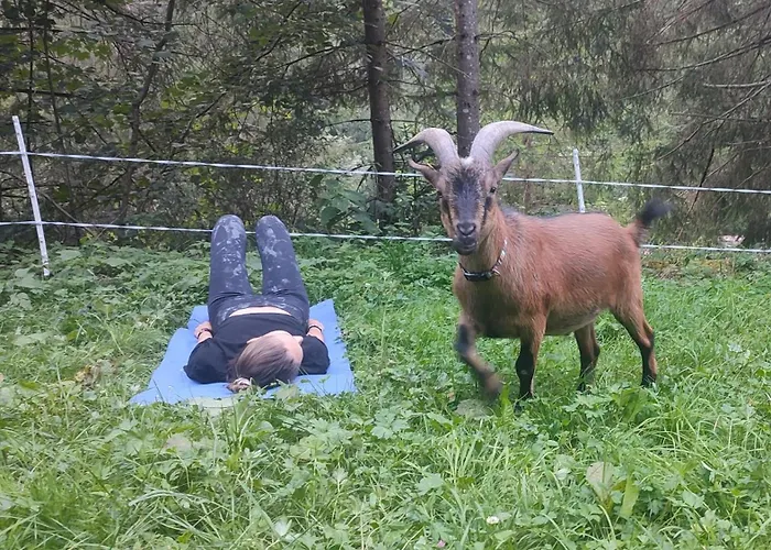 Almhuette Auszeit * Donnersbachwald